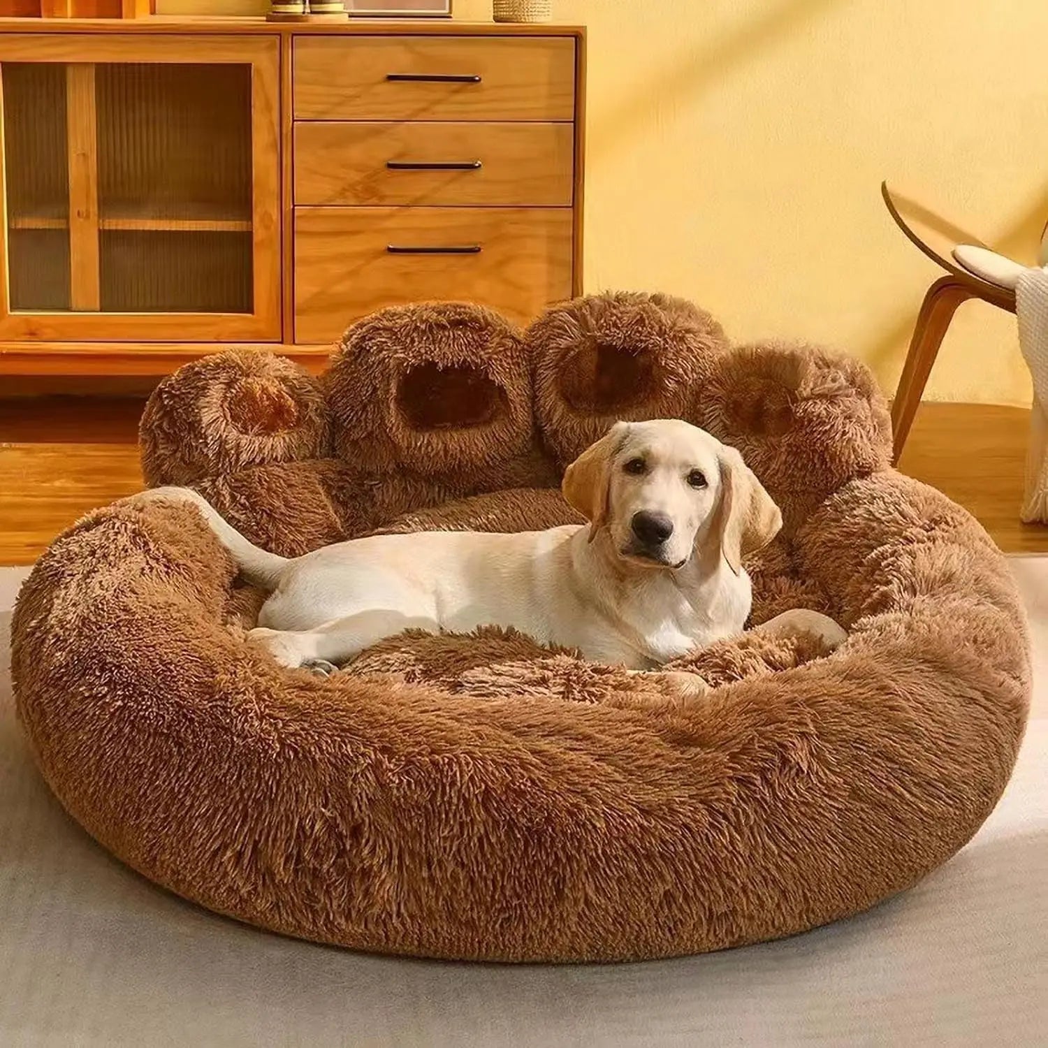 Pet Product