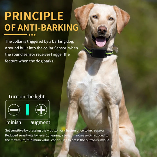 Dog Bark Control Collar with Ultrasonic Training Mode