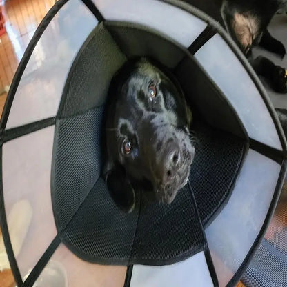Dog Recovery Cone Adjustable Dog Recovery Soft Cone Wound Care Visible Wrap Anti-Lick Shield Breathable Pet Collar Anti-Bite For