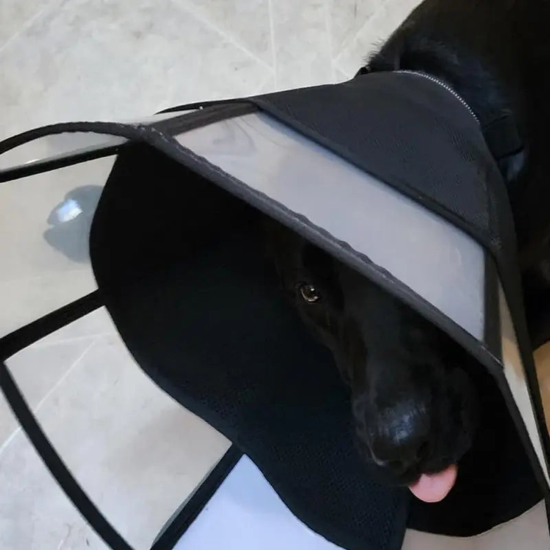 Dog Recovery Cone Adjustable Dog Recovery Soft Cone Wound Care Visible Wrap Anti-Lick Shield Breathable Pet Collar Anti-Bite For