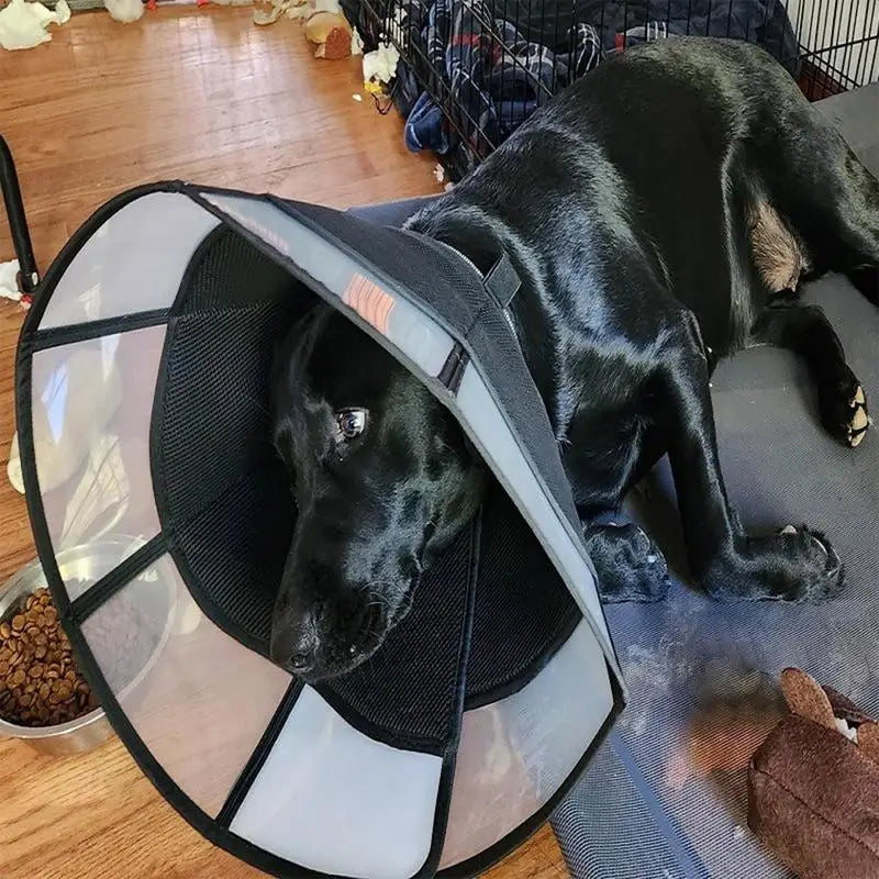 Dog Recovery Cone Adjustable Dog Recovery Soft Cone Wound Care Visible Wrap Anti-Lick Shield Breathable Pet Collar Anti-Bite For