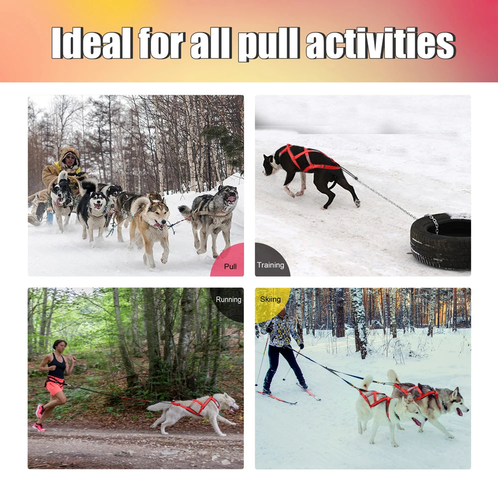 Waterproof Dog Sledding Harness Reflective Pet Sledding Skijoring Harness Big Large Dogs Weight Pulling Vest for Pet Training
